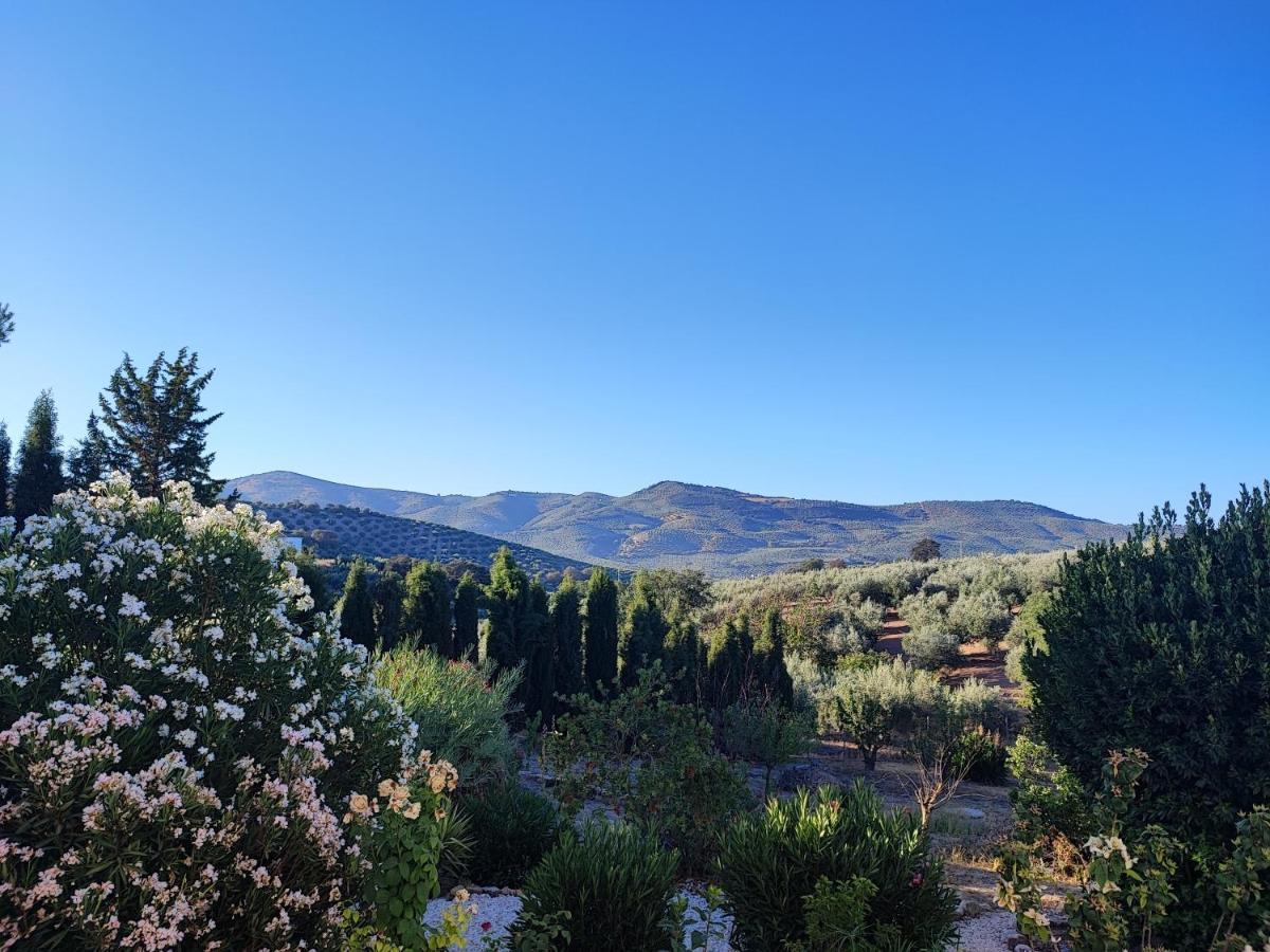 Cortijo Pennymaria Poolside Apartment Near Montefrio With Stunning Views Montefrío Exterior foto