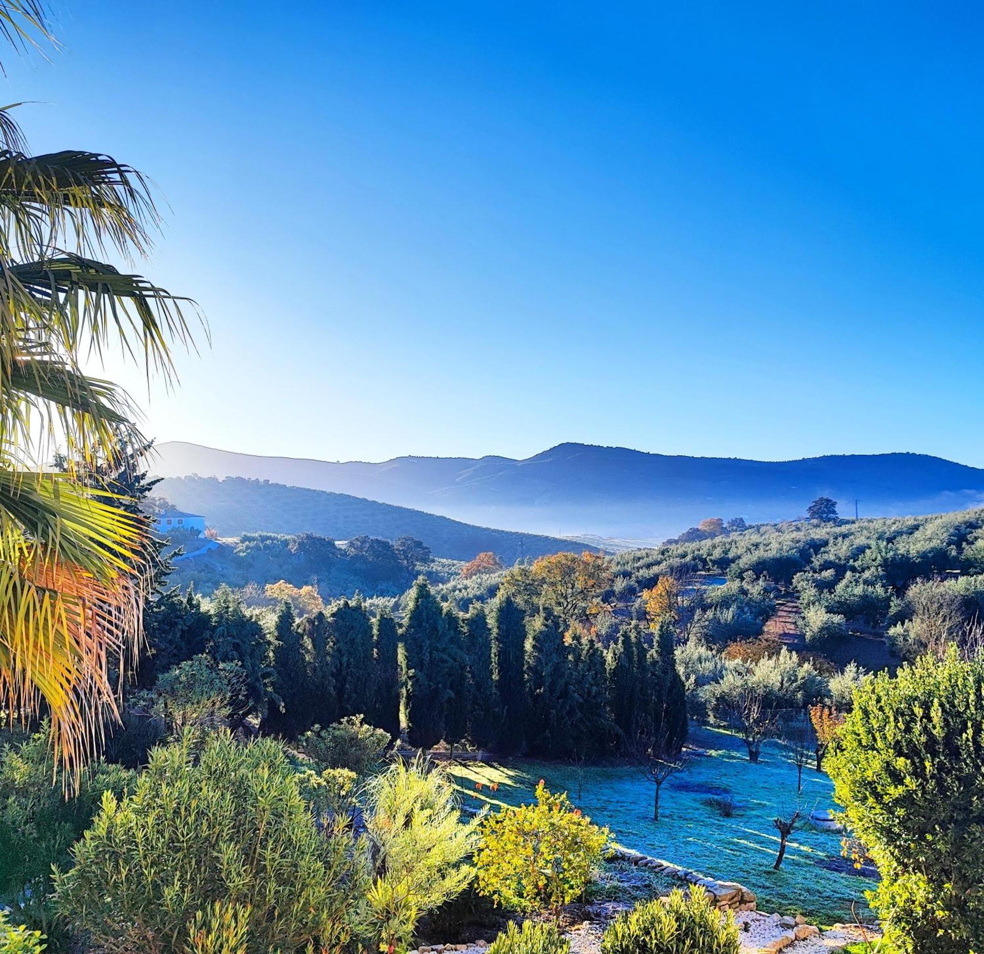 Cortijo Pennymaria Poolside Apartment Near Montefrio With Stunning Views Montefrío Exterior foto